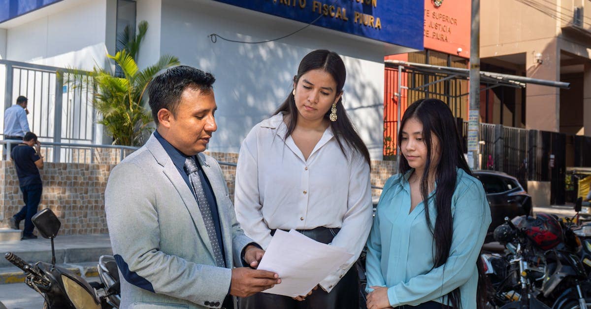 Categoría Apoyo público - Simplo